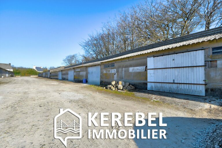 Immobilier Professionnel à louer Landerneau