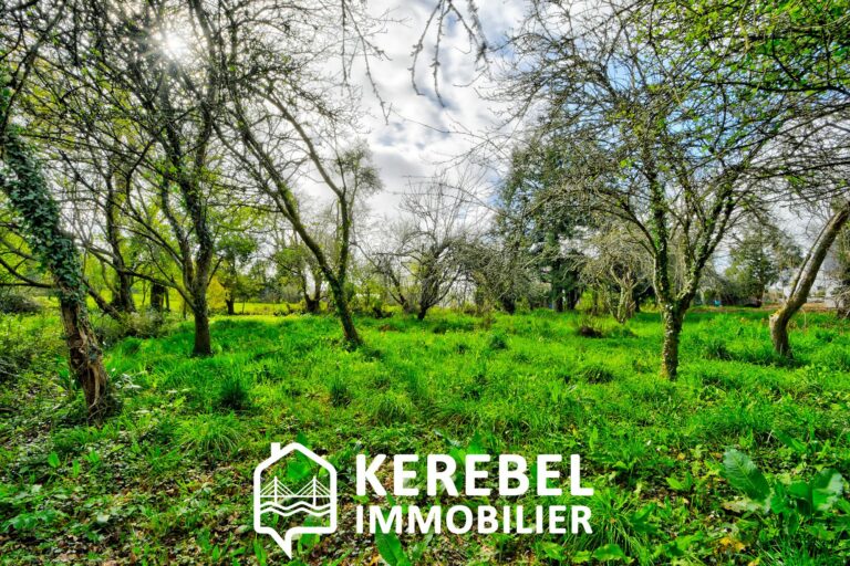 SECTEUR PORZ GWENN LA GRÈVE A PIEDS !