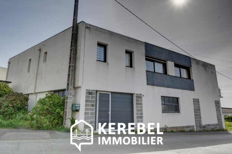 ENSEMBLE IMMOBILIER