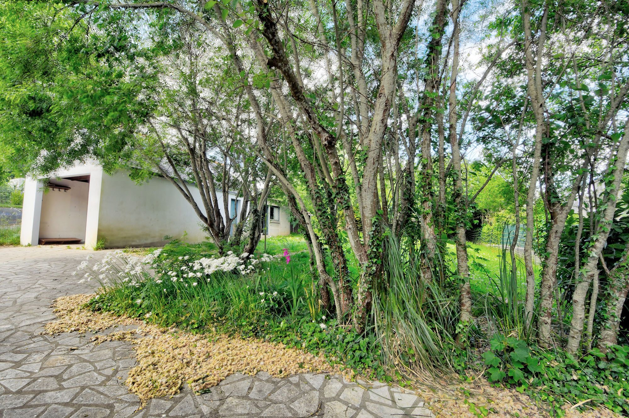 Photo 22